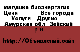 матушка-биоэнергэтик › Цена ­ 1 500 - Все города Услуги » Другие   . Амурская обл.,Зейский р-н